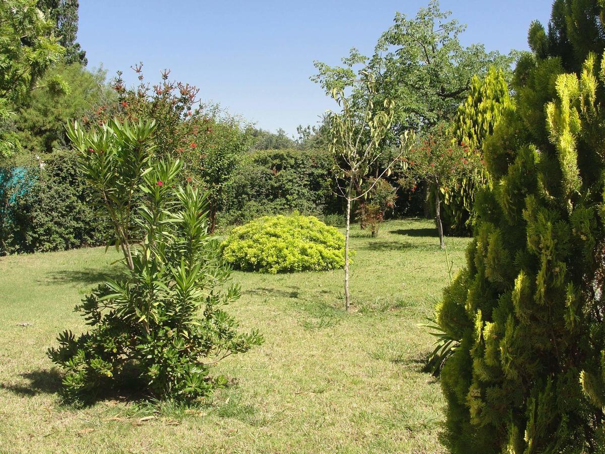 Apart Hotel Chilecito Luaran gambar